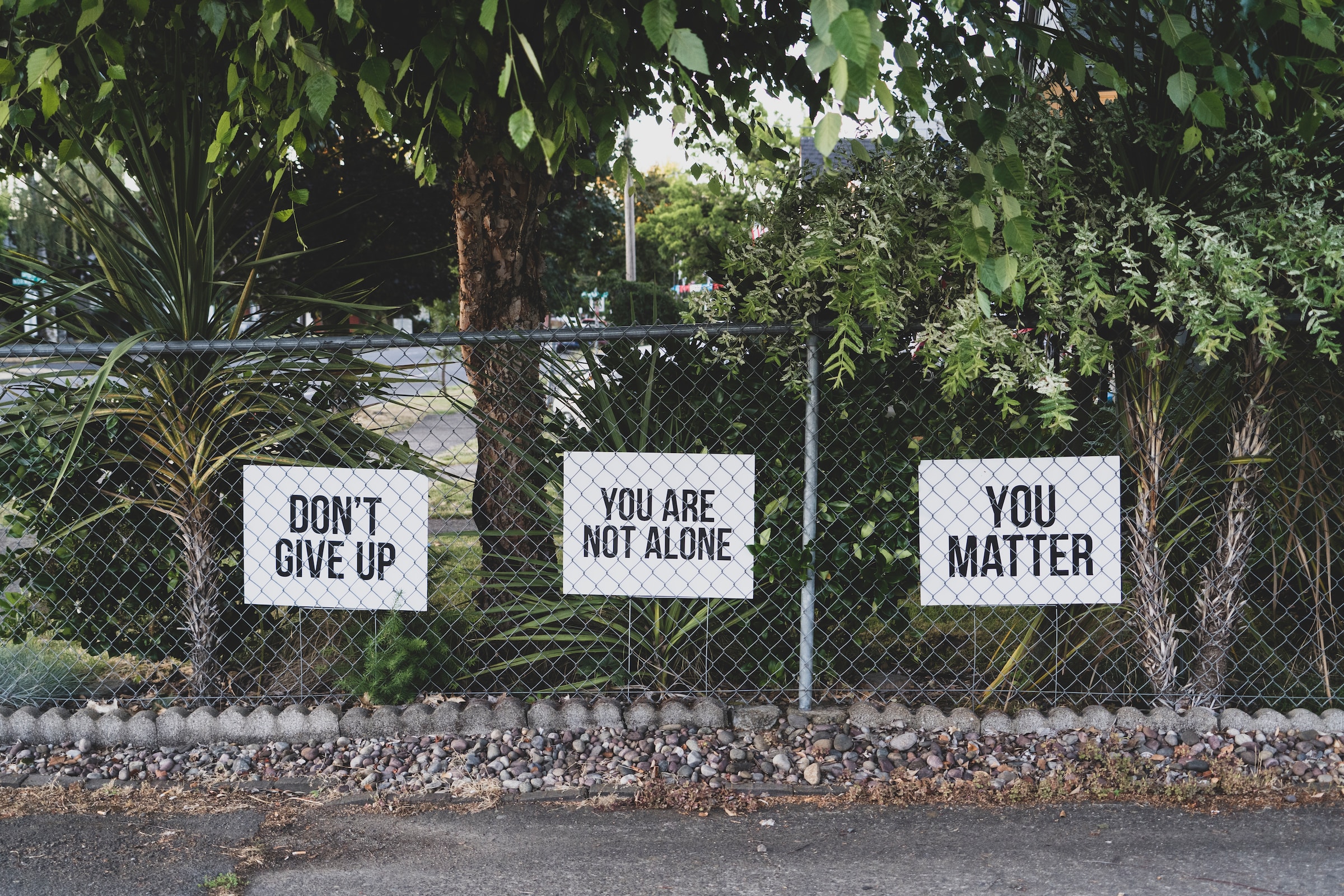 Image with three signs: 'Don't give up. You are not alone. You matter'.