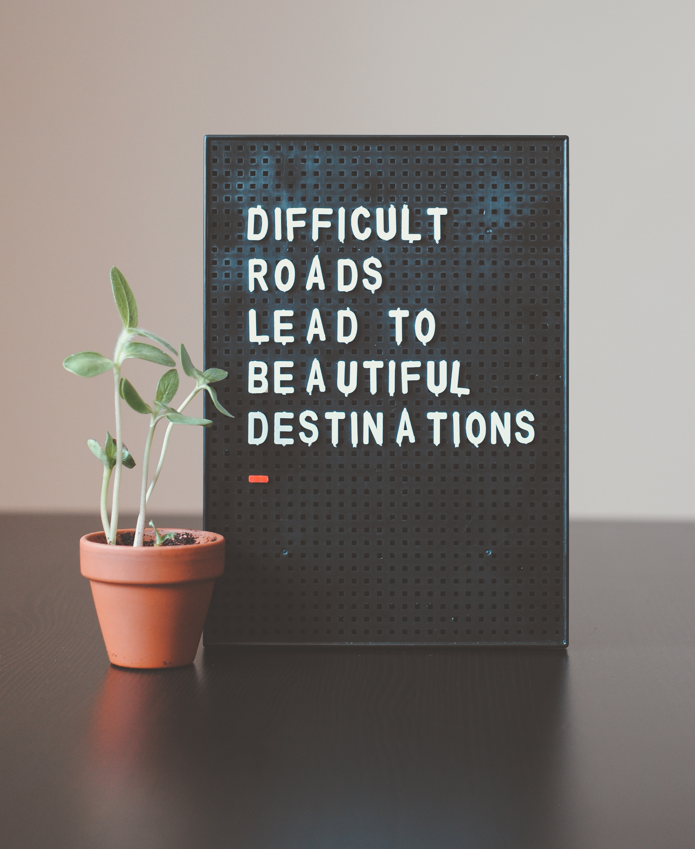 a small potted plant sitting next to a sign that says difficult roads lead to beautiful destinations.